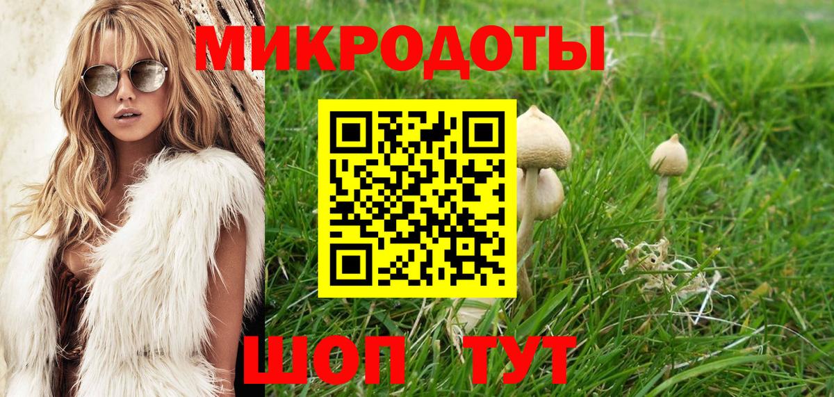 Галлюциногенные грибы Cubensis  Вход с VPN  Находка 